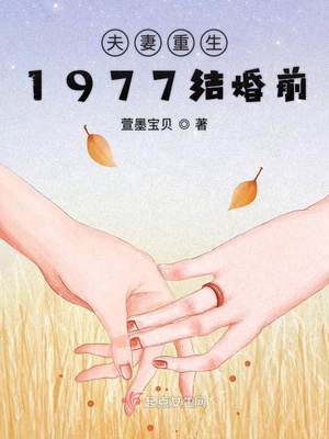 夫妻重生1977结婚前